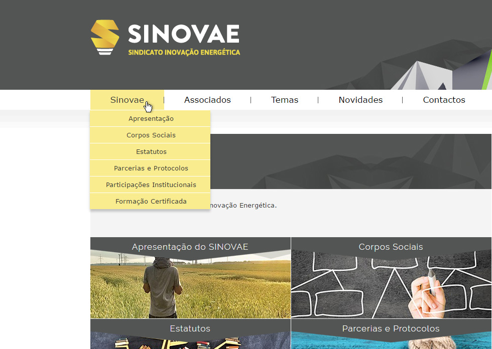 Website SINOVAE